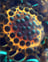 amoeba_007