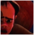 GODMYBUTTISEXPLODED44