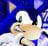 Sonc_Websim