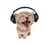 headphone_cat