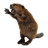 Jaxonthedev