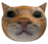 MrMeow