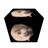PuglandFlag56_ThePugifier