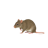 nothrethianbutwebsim