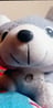 Huskygames