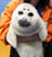 seals_are_cool136