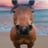 HORSEHORSE