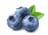 DINGLEBERRYPRODUCTIONS