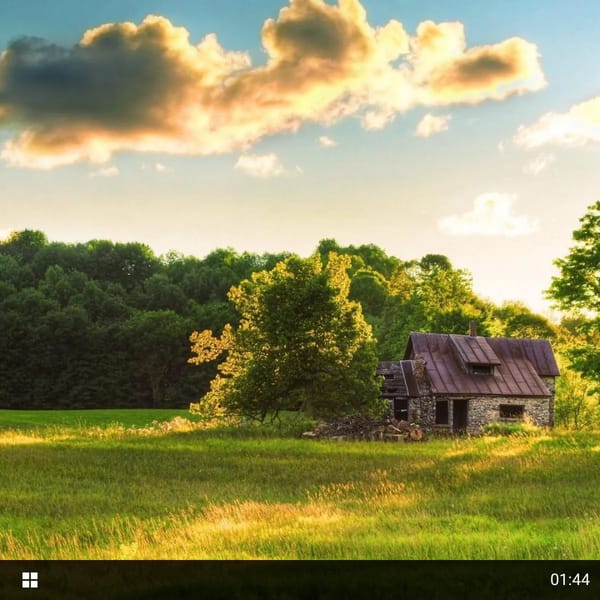 Windows 8