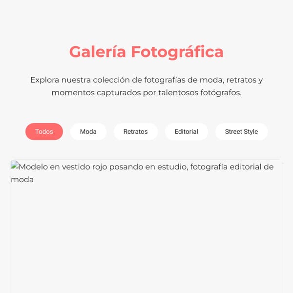 YSM Fashion - Diseños y Fotografías