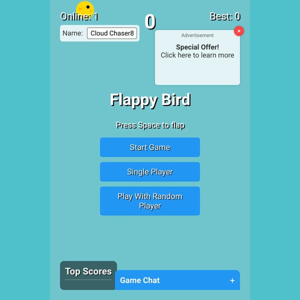 Flappy Bird Clone