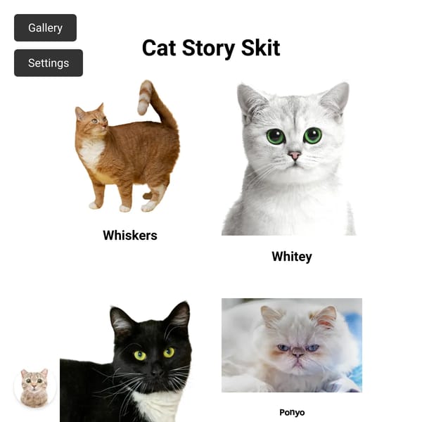 Cat Story Skit