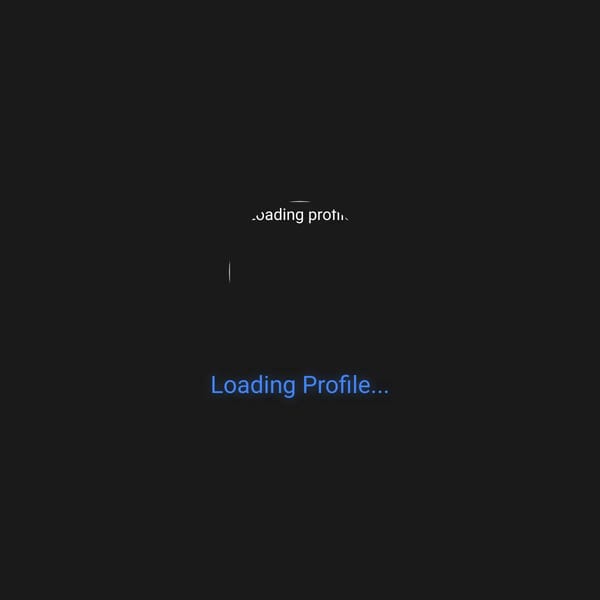 WebSim User Profile