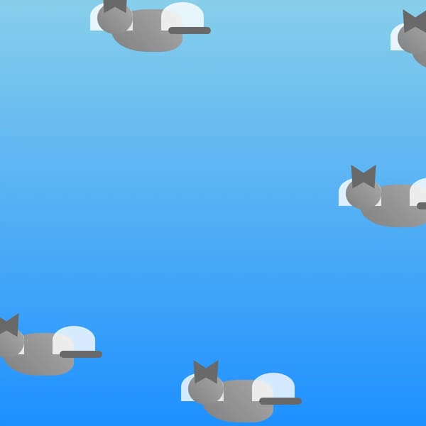 Flying Cats Animation