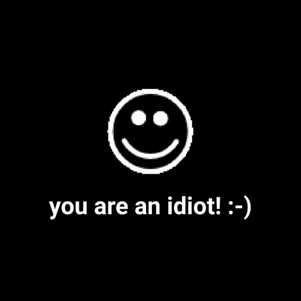you are an idiot recreation