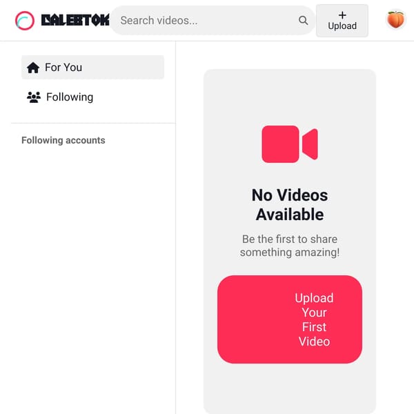 a random old project about a tiktok that doesnt work