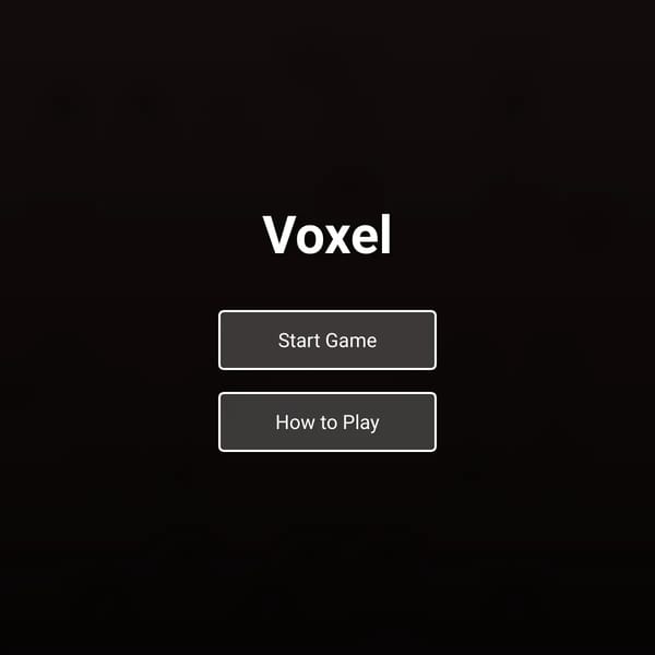 Voxel (this Project was like 1 year Ago because was made in jan 28 2025 BTW LAGGY KINDA))