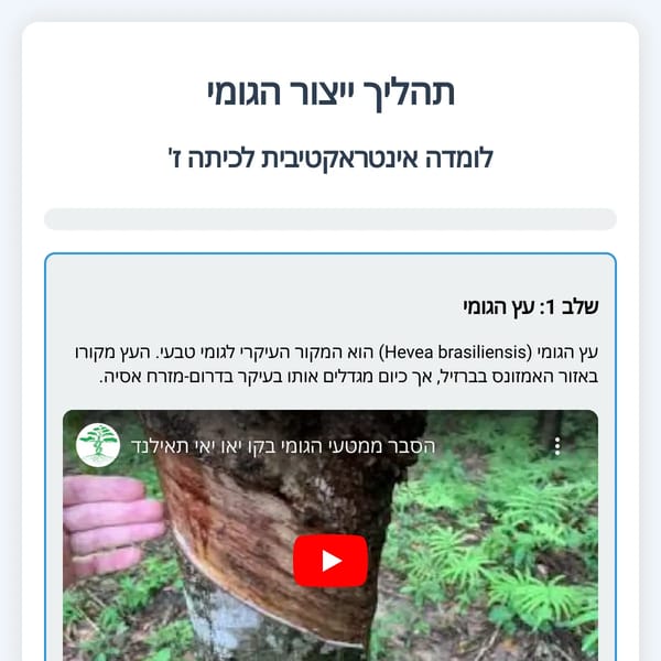 תהליך ייצור הגומי - לומדה אינטראקטיבית