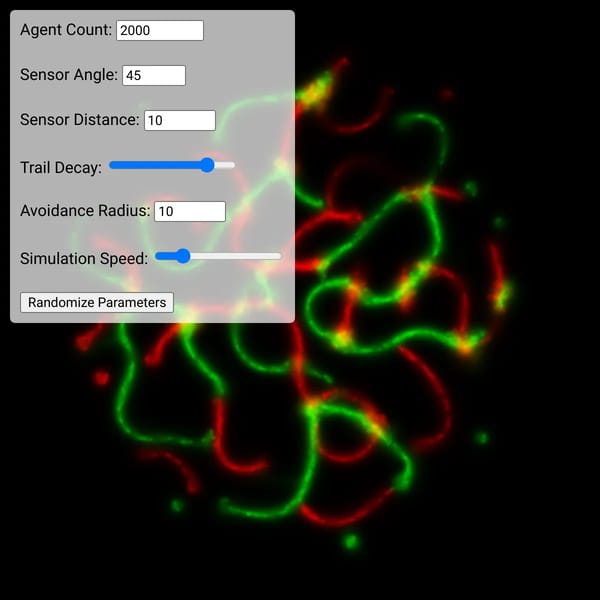 Slime Mold Simulation