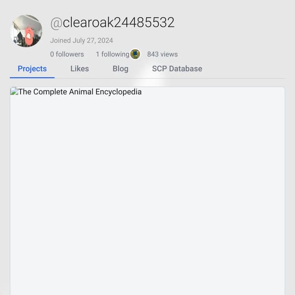 User Profile Page on WebSim AI