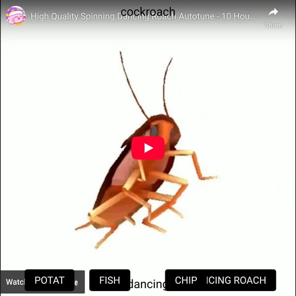 Funny videos, (W.I.P)