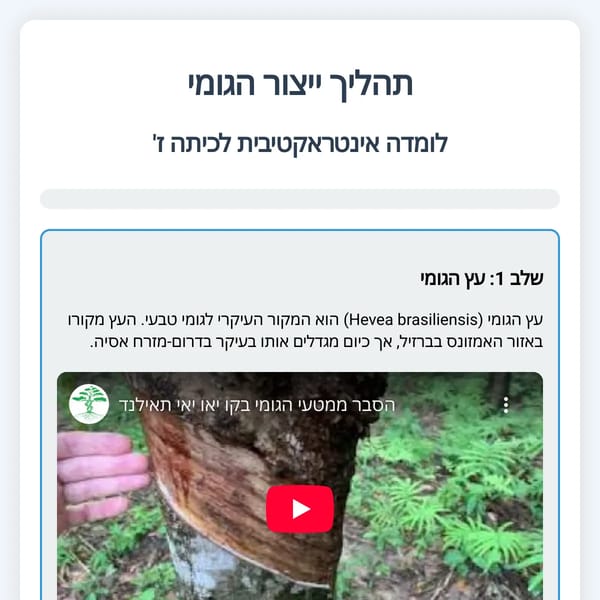 תהליך ייצור הגומי - לומדה אינטראקטיבית
