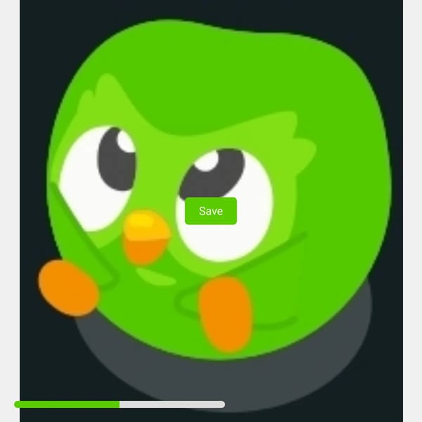 Save duolingo!