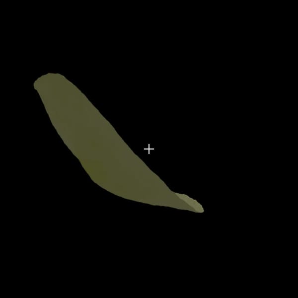 chip