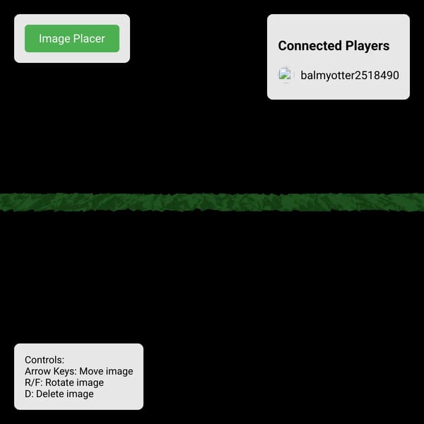 Image placer ("BUGS") MULTIPLAYER