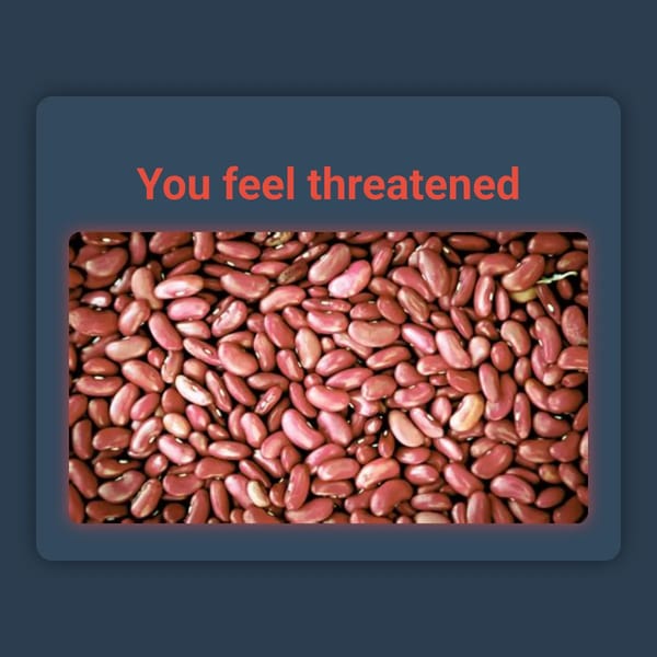 Bean bean.arold