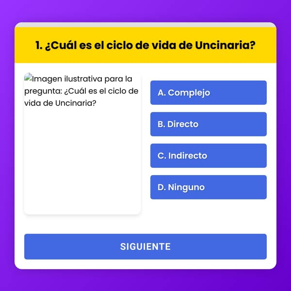 Quiz Interactivo de IoT - modelo 2