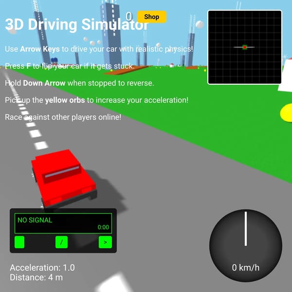 3D Driving Sim