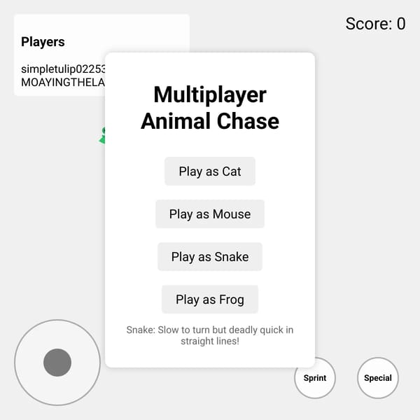 Multiplayer Animal Chase