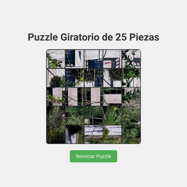 Puzzle Giratorio de 25 Piezas con Zoom