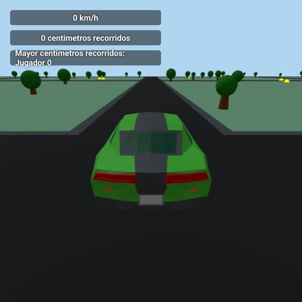 Realistic Car Experience *multiplayer*