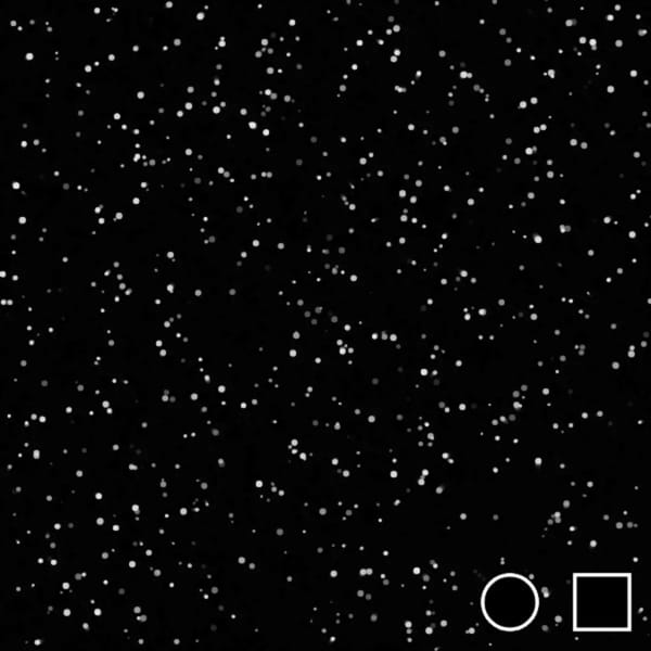 Particle Flow Sim