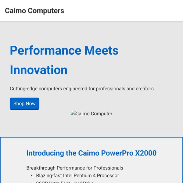 Archive: Caimo Computing, 2002