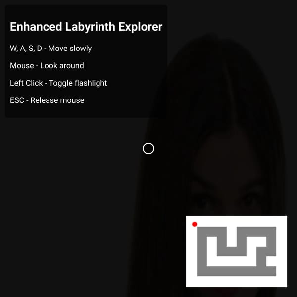 I quit trying made labyrinth game