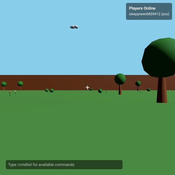 3D First Person Game