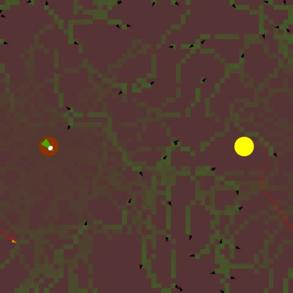 Ant Colony Simulation