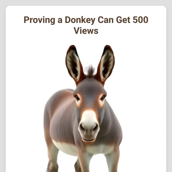 Donkey View Counter