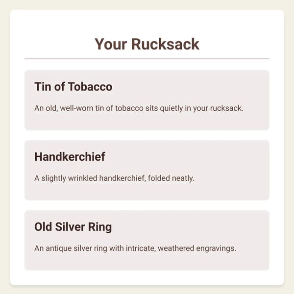 Adventurer's Rucksack