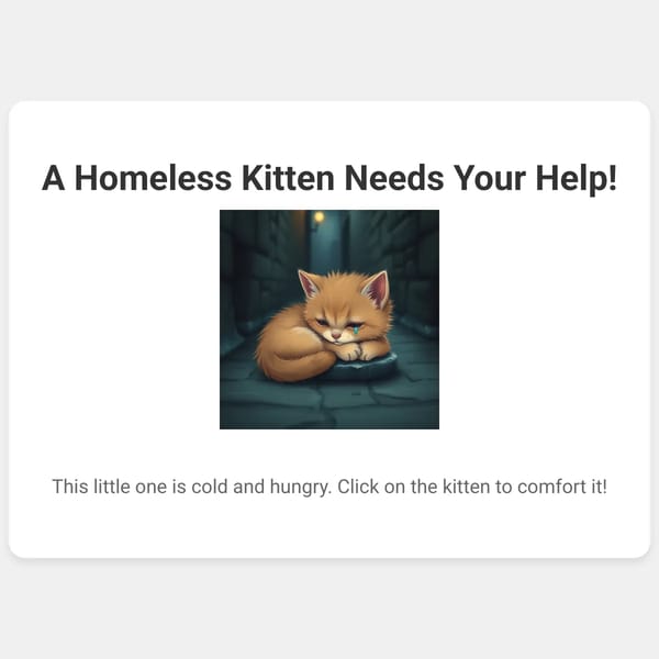 Homeless Kitten