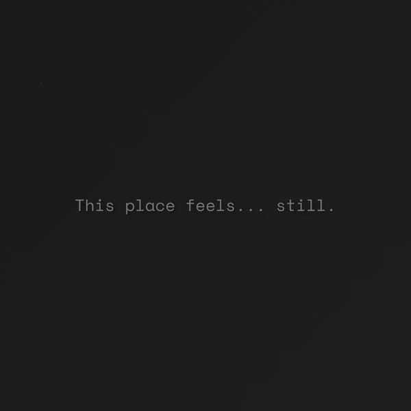 The Still Place