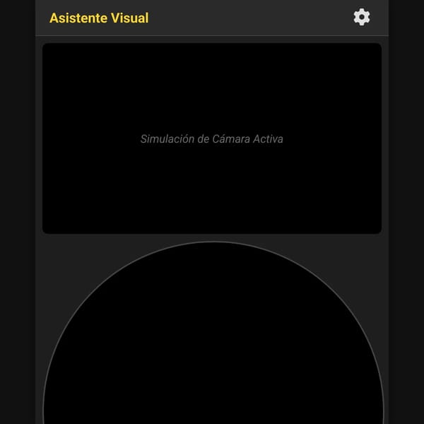 Asistente Visual
