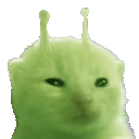 🪟XP chat