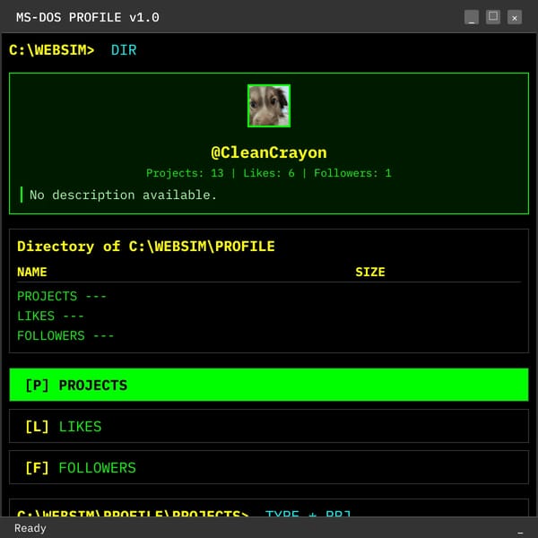 MS-DOS PROFILE v1.0