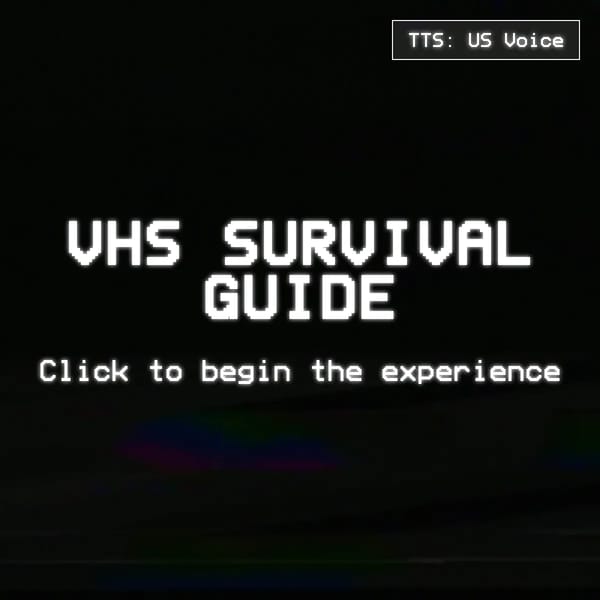 VHS Experience