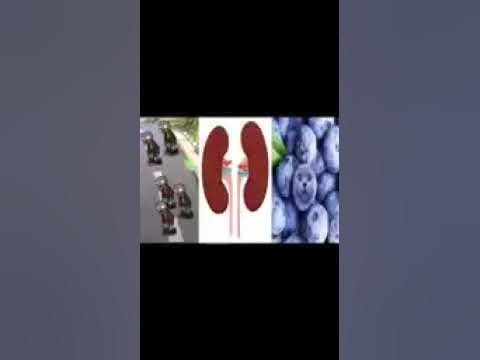 zombies kidneys cats if they were blueberries
