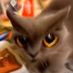ofiz.game - Untitled Office Game!